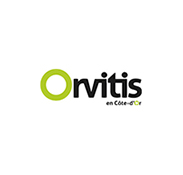 Orvitis
